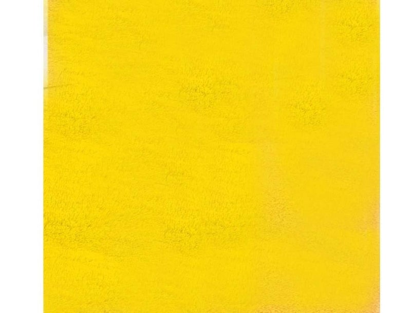 ENIGMATIC Shaggy Carpet for Living Room – Soft Fluffy Rug & Non Slip Runner Carpet – Cozy Shaggy Area Rug for Bedroom & Lounge (2x6 feet, Yellow) - Image 2