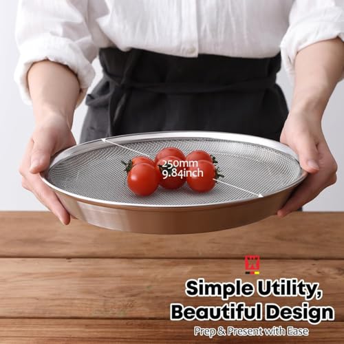 WAGENSTEIGER Stainless Steel Mesh Tray Set with Drip Pan Air Fryer Basket and Tray Kitchen Colander Vegetable and Fruit Strainer Food Filter BBQ Prep Tool Fruit Serving Dishes 984 inch - Image 3