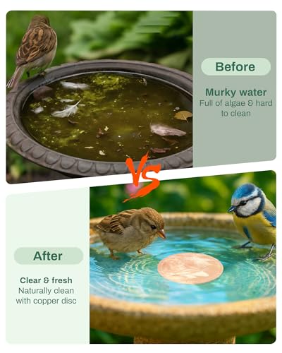 OICEME Bird Bath Purification Disk Pure Copper Outside Winter Solar Power Birdbath Heater Deicer Cage Hanging Bowl Metal Warmer Deck Railing Glass Concrete Ceramic Stone Stand Outdoor Fountain Station - Image 3