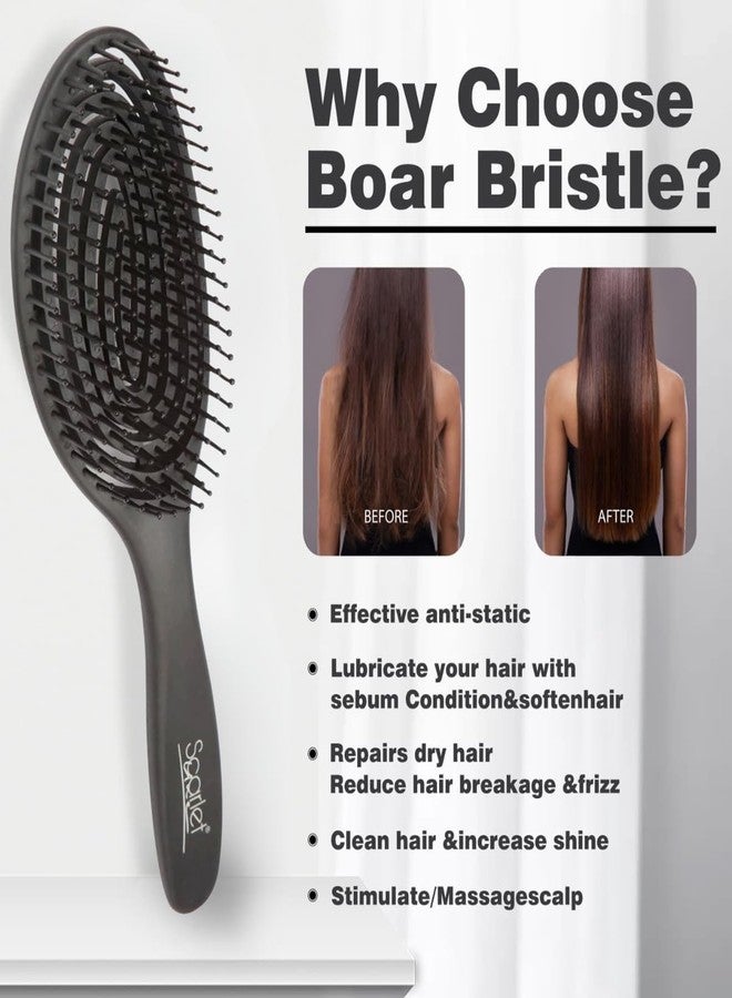 سكارليت لاين فرشاة تصفيف الشعر الاحترافية من سكارليت لاين، ذات رأس كروي بيضاوي الشكل وشعيرات مهواة، بمقبض بلاستيكي، مثالية للرجال والنساء - أسود - Image 4