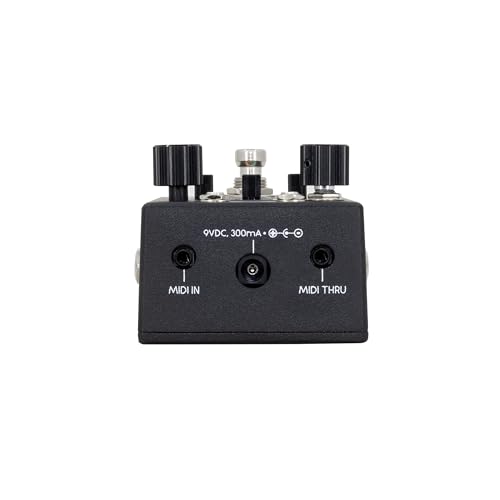 Walrus Audio Canvas Rehearsal Pedal - Image 4