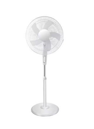 White2