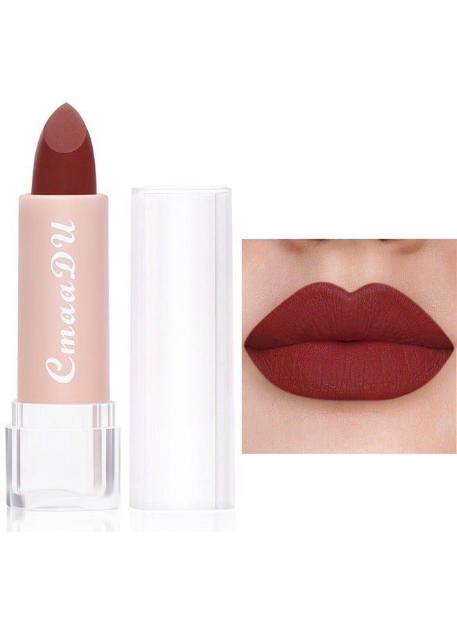 CmaaDu Matte Lipstick -Nude Halal Compliant Multicolors Smoothly Long Lasting Up to 8 Hours Enriched with Vitamin E Smudge and Waterproof Paraben-free(#02) - Image 1
