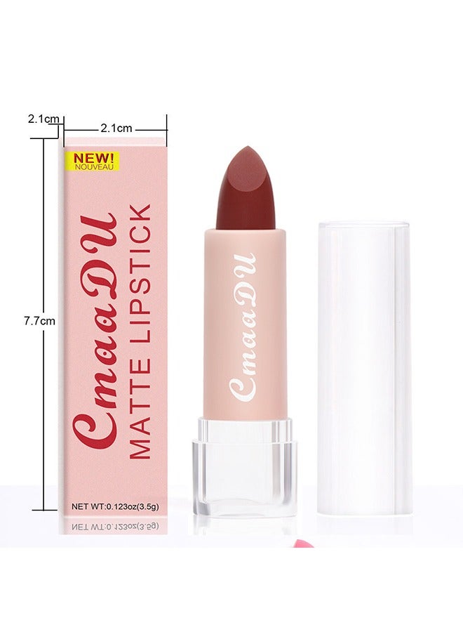 CmaaDu Matte Lipstick -Nude Halal Compliant Multicolors Smoothly Long Lasting Up to 8 Hours Enriched with Vitamin E Smudge and Waterproof Paraben-free(#02) - Image 5