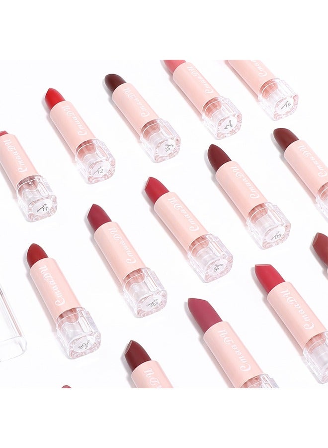 CmaaDu Matte Lipstick -Nude Halal Compliant Multicolors Smoothly Long Lasting Up to 8 Hours Enriched with Vitamin E Smudge and Waterproof Paraben-free(#02) - Image 3
