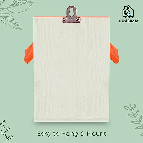 BIRDSHALA Bird House for Sparrow, Budgies & Finches with Air Ventilation and Mounting Hook (Orange - Set of 4) - Image 5