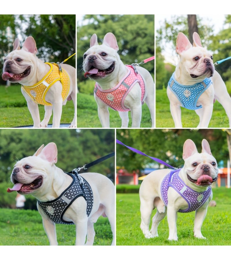 Black Escape Proof Cat Harness With Leash For Small Cats S Size - Image 4