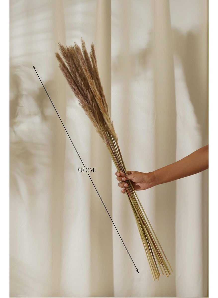 PUREZENTO Purezento Brown Wheat Dried Flower Delight for HomeOffice or Living Room Diwali Decoration Feathery Texture Finish Festival Decor with Natural Golden BeautySet of 15Vase Not Included  - Image 3