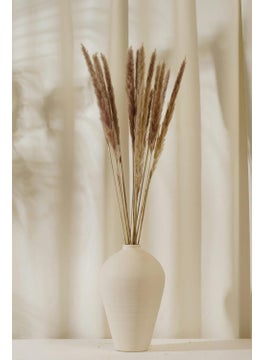 PUREZENTO Purezento Brown Wheat Dried Flower Delight for HomeOffice or Living Room Diwali Decoration Feathery Texture Finish Festival Decor with Natural Golden BeautySet of 15Vase Not Included  - Image 4