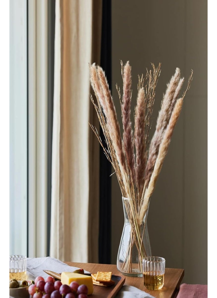 PUREZENTO Purezento Brown Wheat Dried Flower Delight for HomeOffice or Living Room Diwali Decoration Feathery Texture Finish Festival Decor with Natural Golden BeautySet of 15Vase Not Included  - Image 1