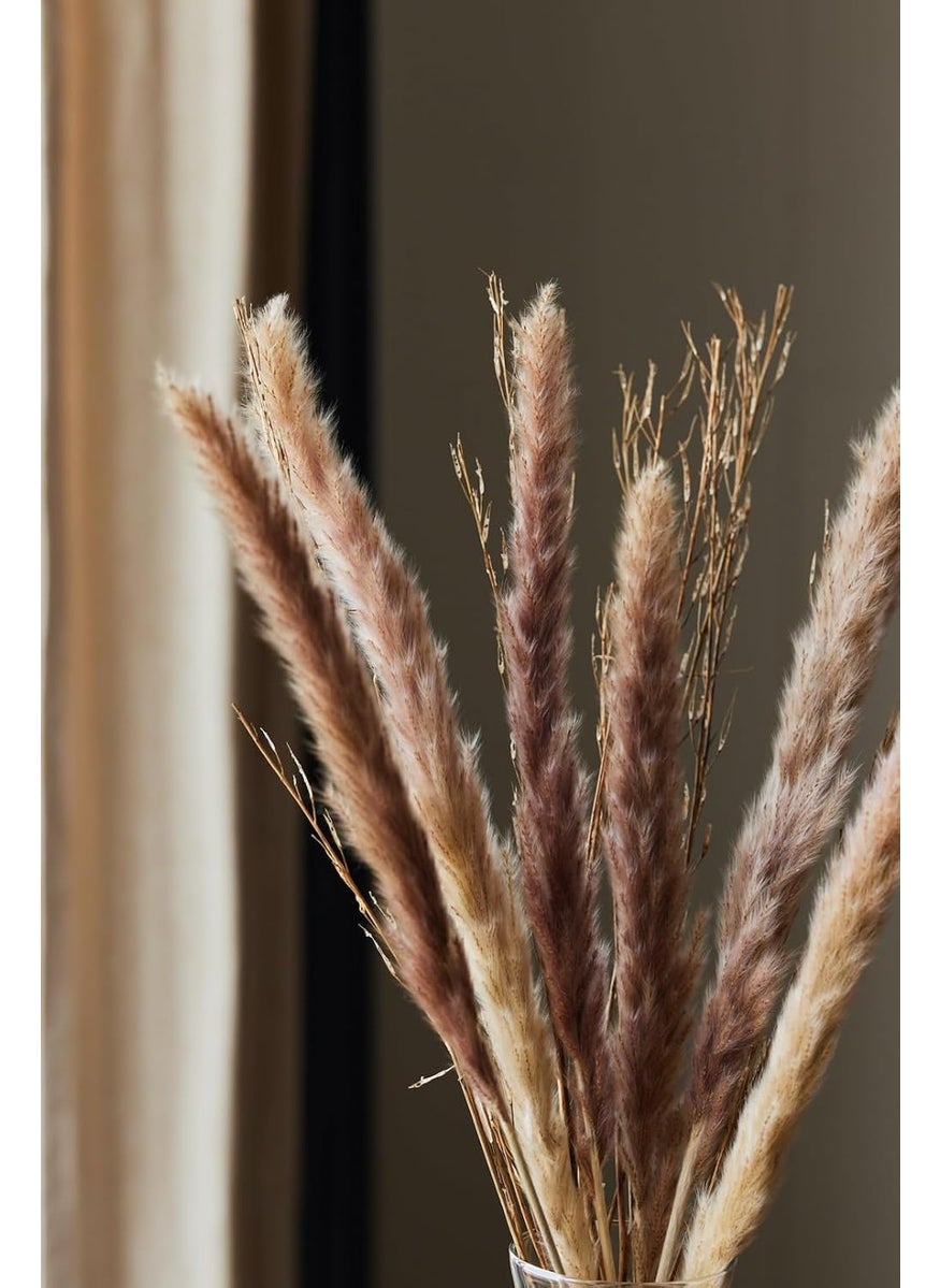 PUREZENTO Purezento Brown Wheat Dried Flower Delight for HomeOffice or Living Room Diwali Decoration Feathery Texture Finish Festival Decor with Natural Golden BeautySet of 15Vase Not Included  - Image 2