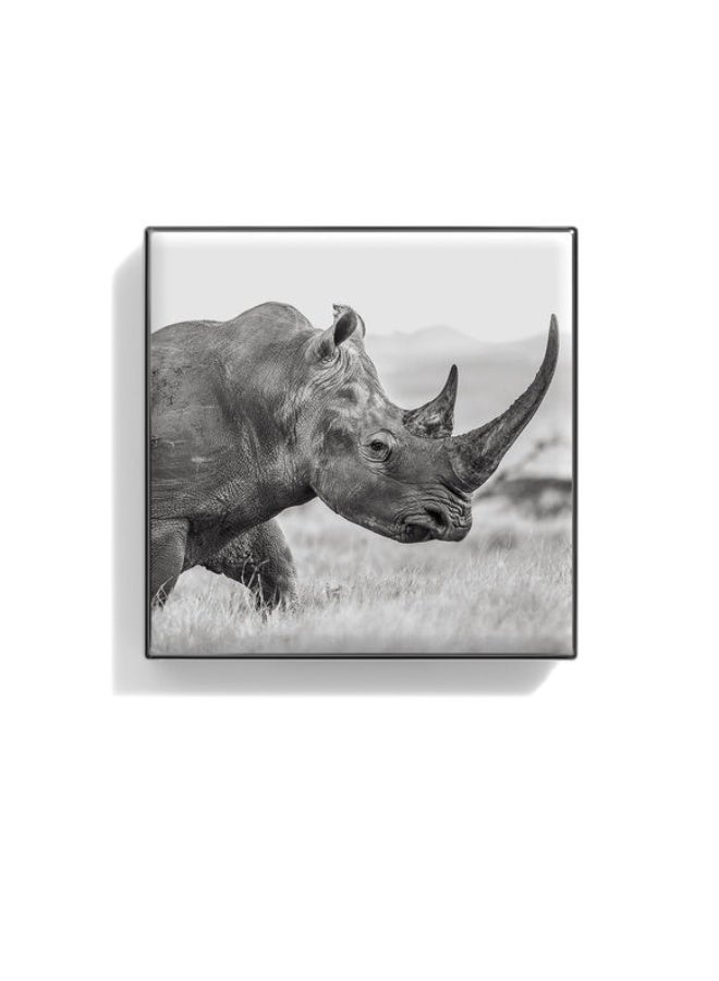 Chantecaille Luminescent Eye Shade rhinoceros2.5g - Image 1