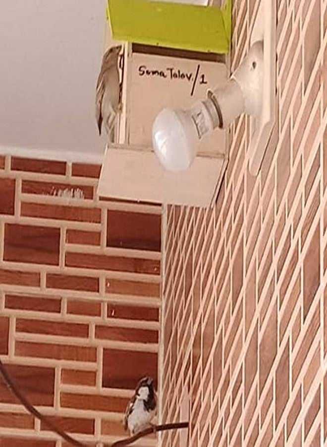 صندوق أعشاش الطيور من بيت نيست - Image 4