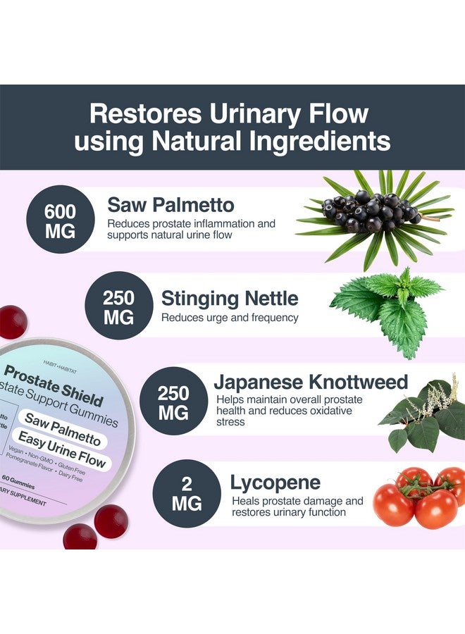 HABIT + HABITAT Prostate Shield Gummies - Men's Prostate Health Urinary with Saw Palmetto & Lycopene - Image 2