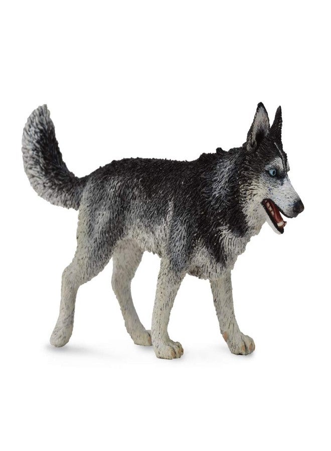 CollectA Dogs & Cats Siberian Husky Toy Figure - Image 1