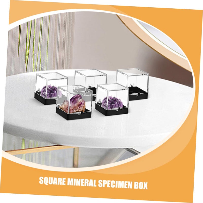 10pcs Plastic Ore Specimen Box Square Stone Holder Box Lid for Crystal Display Rock Collection Storage Case - Image 3