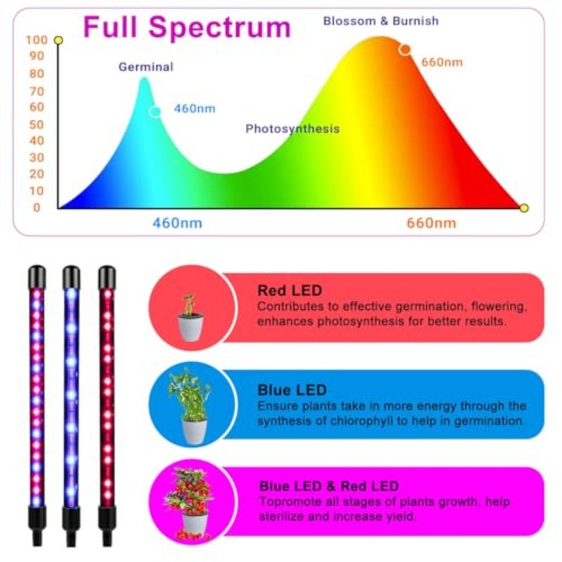 Plant Growing Lamp 2 Heads Red and Blue LED Grow Light Flexible Gooseneck for Indoor Plants 3/9/12H Timer 3 Spectral Modes 10 Dimmable Levels - Image 4