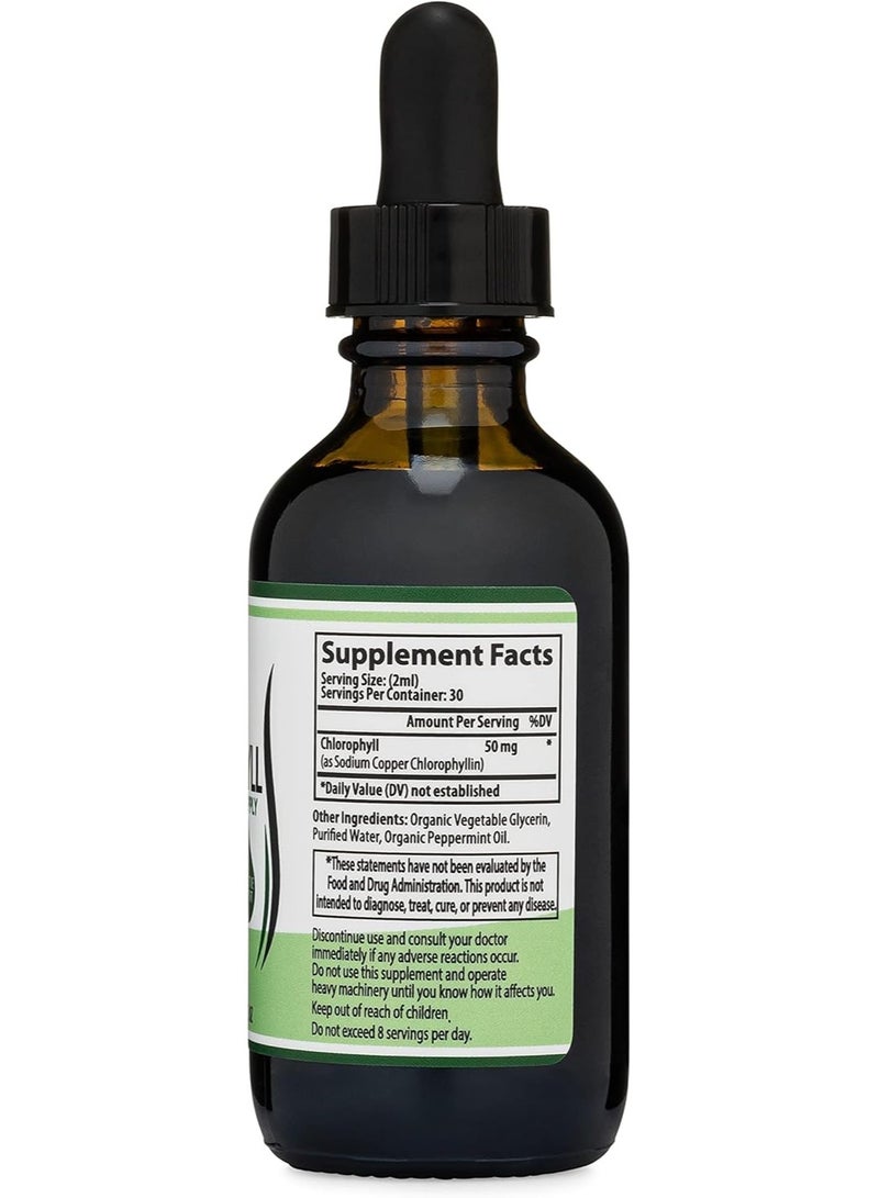 Double Wood Supplements Liquid Chlorophyll, 1500mg - 2 fl.oz - Image 2