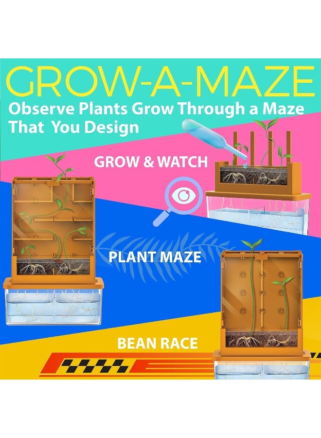 4M KidzLabs Green Science Grow‑A‑Maze Kit – Design a Plant Root Maze Using Seed Packet, Transparent Soil Chamber, Dropper & Root Viewer – Observe How Roots Grow Through a Custom Maze STEM Kit Ages 5+ | 00-03352 - Image 2