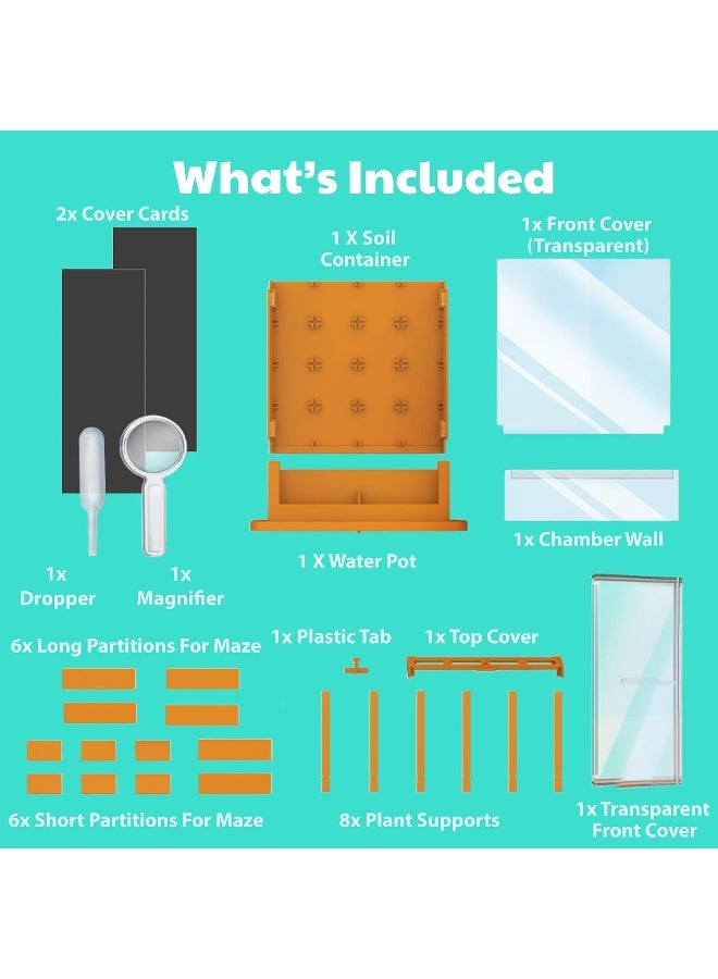 4M KidzLabs Green Science Grow‑A‑Maze Kit – Design a Plant Root Maze Using Seed Packet, Transparent Soil Chamber, Dropper & Root Viewer – Observe How Roots Grow Through a Custom Maze STEM Kit Ages 5+ | 00-03352 - Image 4