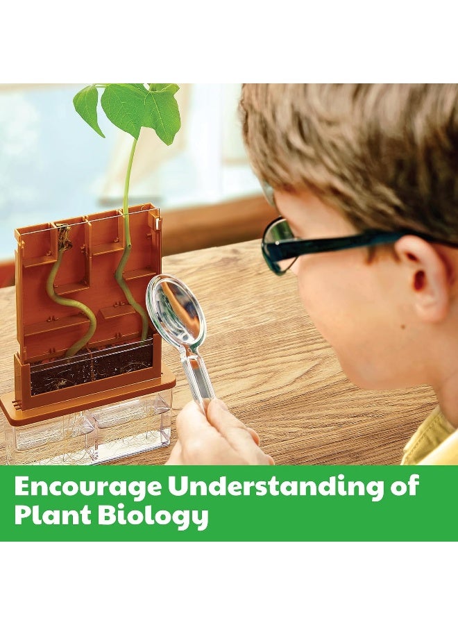 4M KidzLabs Green Science Grow‑A‑Maze Kit – Design a Plant Root Maze Using Seed Packet, Transparent Soil Chamber, Dropper & Root Viewer – Observe How Roots Grow Through a Custom Maze STEM Kit Ages 5+ | 00-03352 - Image 5