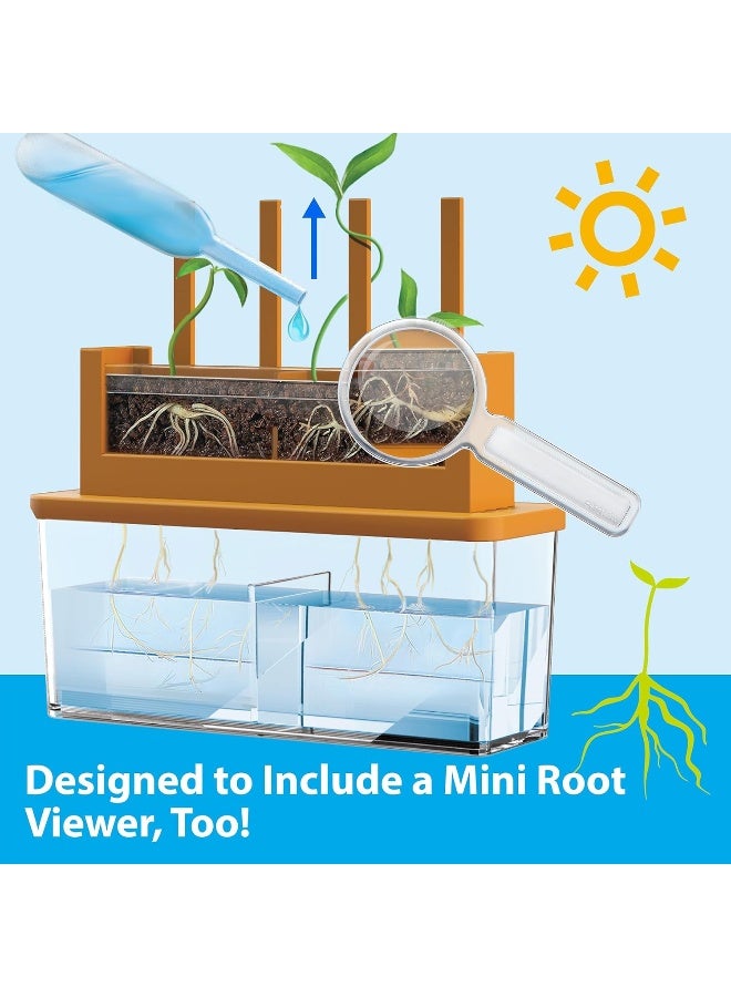 4M KidzLabs Green Science Grow‑A‑Maze Kit – Design a Plant Root Maze Using Seed Packet, Transparent Soil Chamber, Dropper & Root Viewer – Observe How Roots Grow Through a Custom Maze STEM Kit Ages 5+ | 00-03352 - Image 3