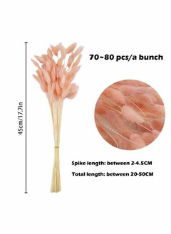Excefore Rabbit Tail Grass 70 Pcs Dried Pink Pampas Grass Decor for Farmhouse Flower Arrangements Wedding Home Boho Party Decorations  - Image 5