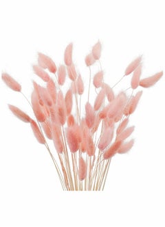 Excefore Rabbit Tail Grass 70 Pcs Dried Pink Pampas Grass Decor for Farmhouse Flower Arrangements Wedding Home Boho Party Decorations  - Image 1