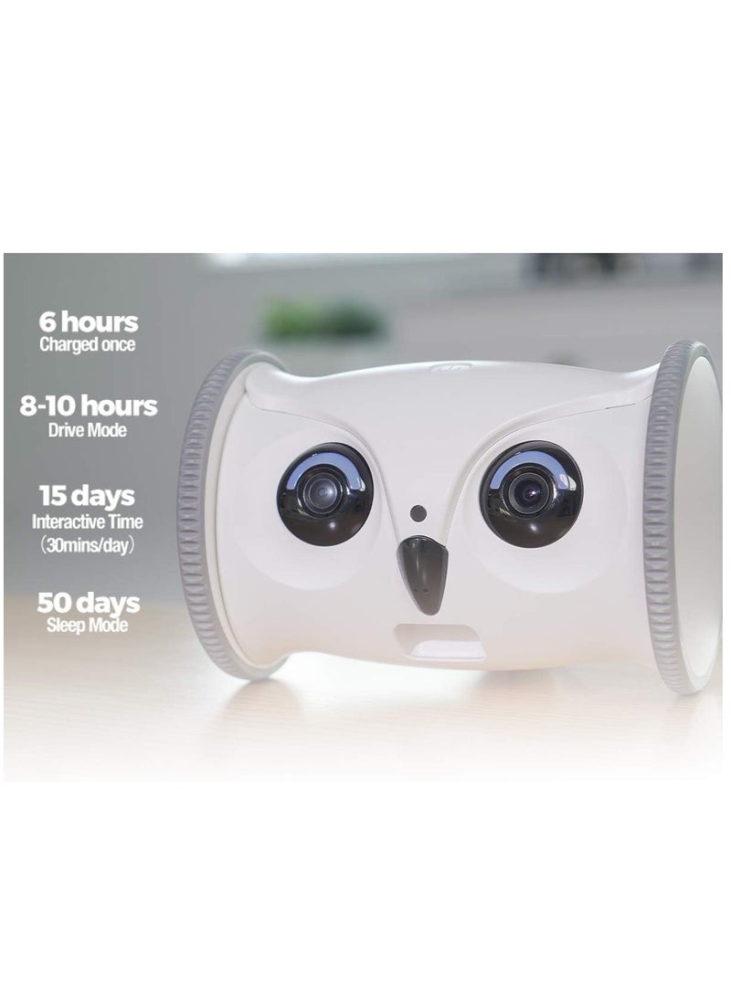 SKYMEE - Owl Robot with Camera and Pet Treat Dispenser Both Ways Communication to Pets Suitalbe for Dogs and Cats Owner Mobile Control via Phone APP Movable Camera HD and Night Vision - Image 1