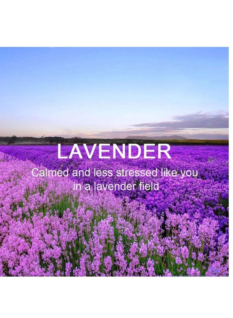 Captaintech Lavender Hanging Sachet Closet Deodorizer 1 Pack 12 Pcs Scent Sachet Drawer Freshener Closet Air Freshener Scented Deodorizer Freshener for Home Car Long Lasting Scented Sachets Smell Goods - Image 2