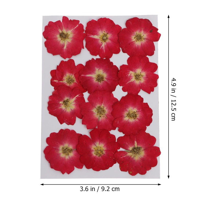 Natural Dried Rose Buds Pressed Flowers For Resin Crafts Nail Art DIY Home Decor - Image 3