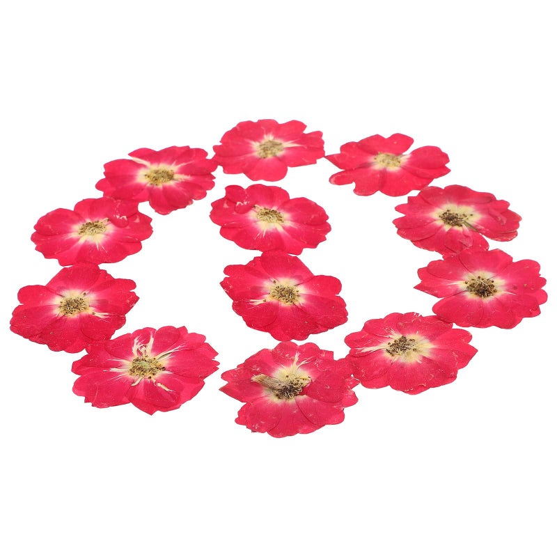 Natural Dried Rose Buds Pressed Flowers For Resin Crafts Nail Art DIY Home Decor - Image 2