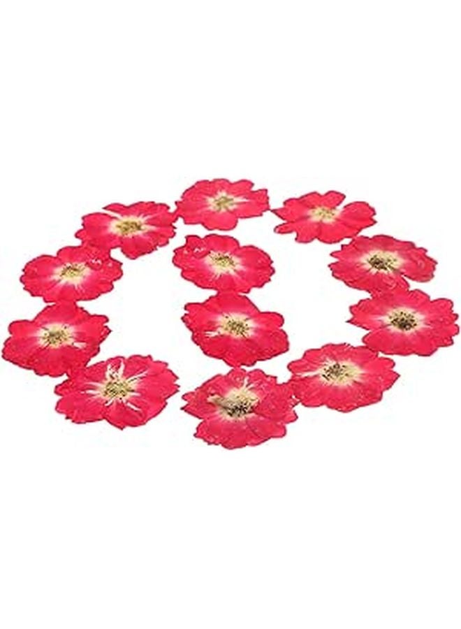Natural Dried Rose Buds Pressed Flowers For Resin Crafts Nail Art DIY Home Decor - Image 1