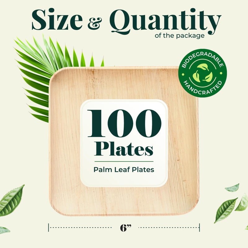 Koala love Palm Leaf Plate Bamboo Paper Disposable 6 Inch 100 Bulk Appetizer and Dessert Square Party Pack Eco Biodegradable Compostable Wooden Plates Better Than Plastic Plates By KoalaLove - Image 5