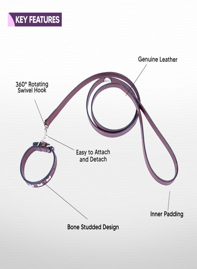 ADIL'S Adil’S Leather Cat Collar & Leash Combo Set - Stylish Single Bone Studded Design Collar, Genuine Leather, Adjustable Buckle & Secure 5ft Leash for Safe and Comfortable Outdoor Activity (Chestnut) - Image 2