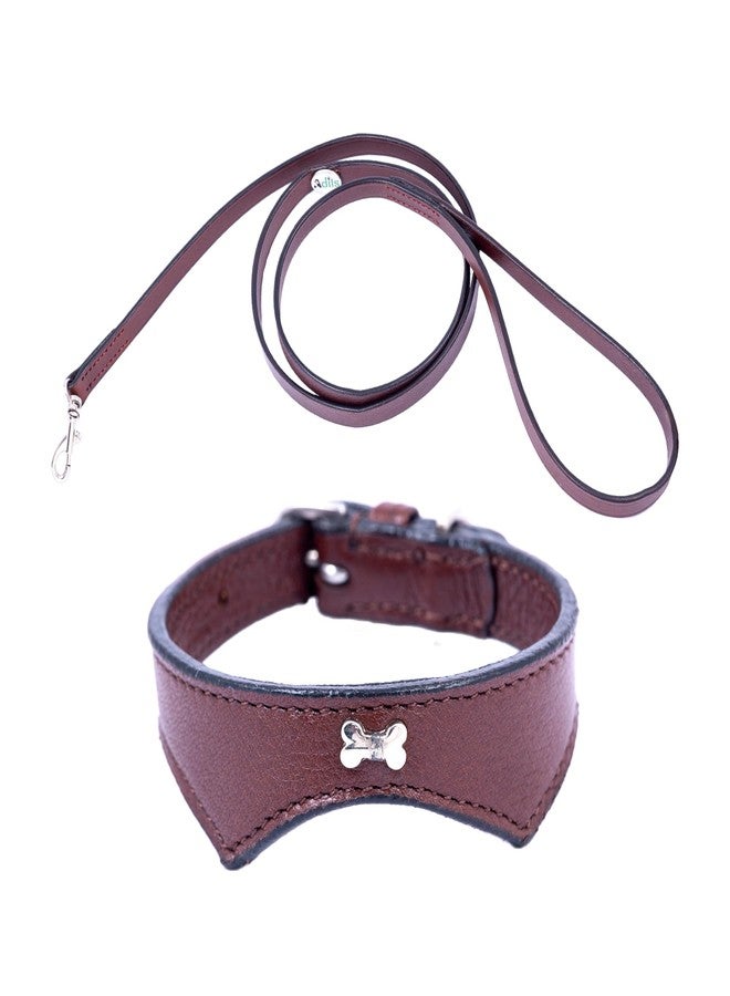 ADIL'S Adil’S Leather Cat Collar & Leash Combo Set - Stylish Single Bone Studded Design Collar, Genuine Leather, Adjustable Buckle & Secure 5ft Leash for Safe and Comfortable Outdoor Activity (Chestnut) - Image 1