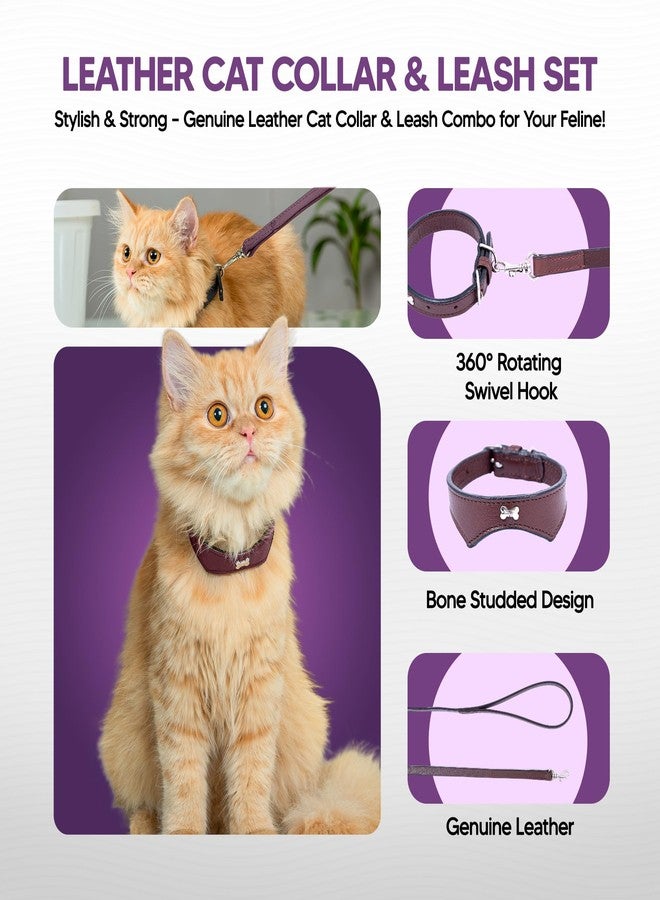 ADIL'S Adil’S Leather Cat Collar & Leash Combo Set - Stylish Single Bone Studded Design Collar, Genuine Leather, Adjustable Buckle & Secure 5ft Leash for Safe and Comfortable Outdoor Activity (Chestnut) - Image 5