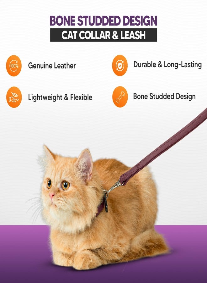 ADIL'S Adil’S Leather Cat Collar & Leash Combo Set - Stylish Single Bone Studded Design Collar, Genuine Leather, Adjustable Buckle & Secure 5ft Leash for Safe and Comfortable Outdoor Activity (Chestnut) - Image 4