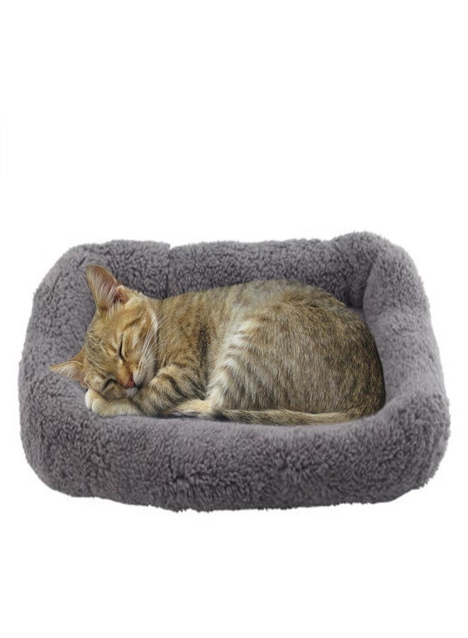 Billionchains Cat Bed Washable Indoor Cat Cushion Bed, Soft and Cozy Plush Pet Bed-S - Image 1