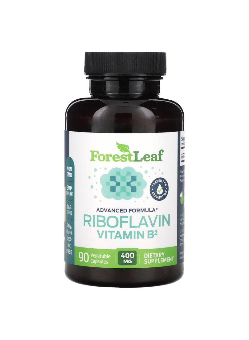 Riboflavin Vitamin B2, 400 mg, 90 Vegetable Capsules
