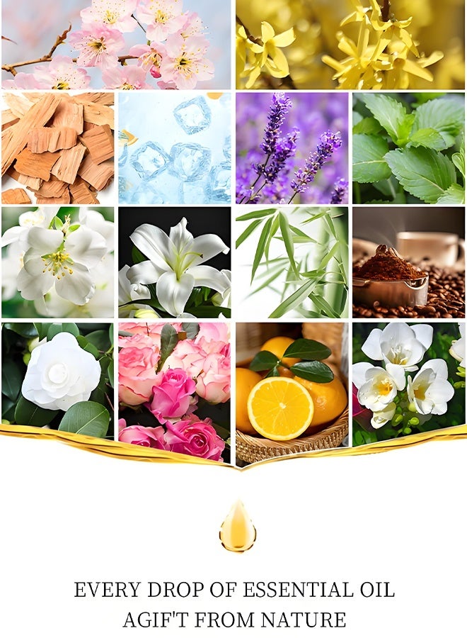 Wish Plus 6pcs x 10mL Aromatherapy Essential Oils Set – Water-Soluble Diffuser Oils for Humidifier, Helps Relaxation & Relieves Dry Skin – Sandalwood, Rose, Lavender, Lemon, Black Ice, Sakura - Image 3