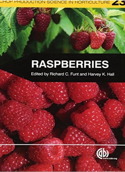 Raspberries