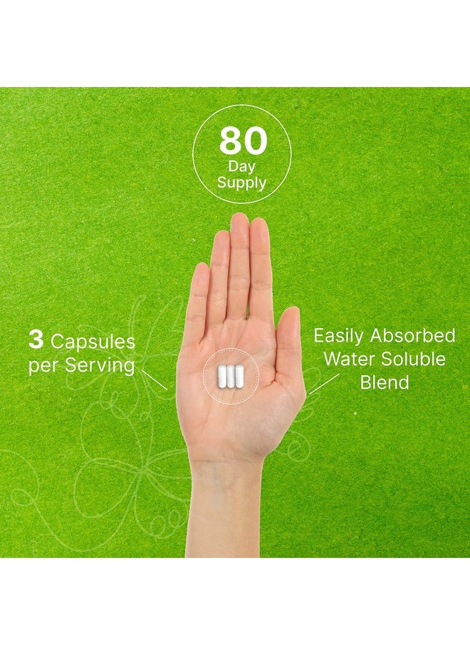 Eagleshine Vitamins - Hyaluronic Acid Supplements 1500Mg 240 Capsules With Msm & Vitamin C Pure 95% ; Nongmo + Plant Based Ha Supports Healthy Joints Bones Connective Tissue & Skin Hydration - Image 1