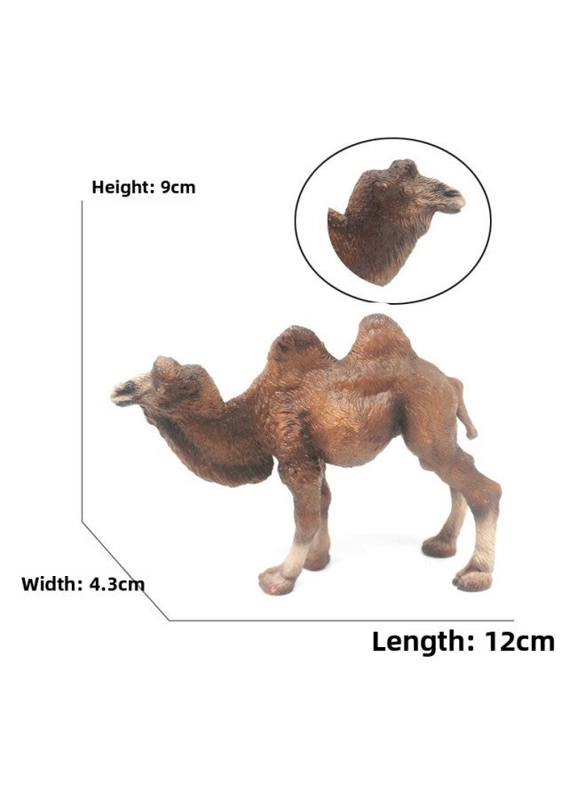 Animal Model Special For Teaching And Education Animal Model Kangaroo Elephant Lion Tiger Deer Ostrich Wolf-Color:4234 Double-humped Camel (98g)  - Image 1