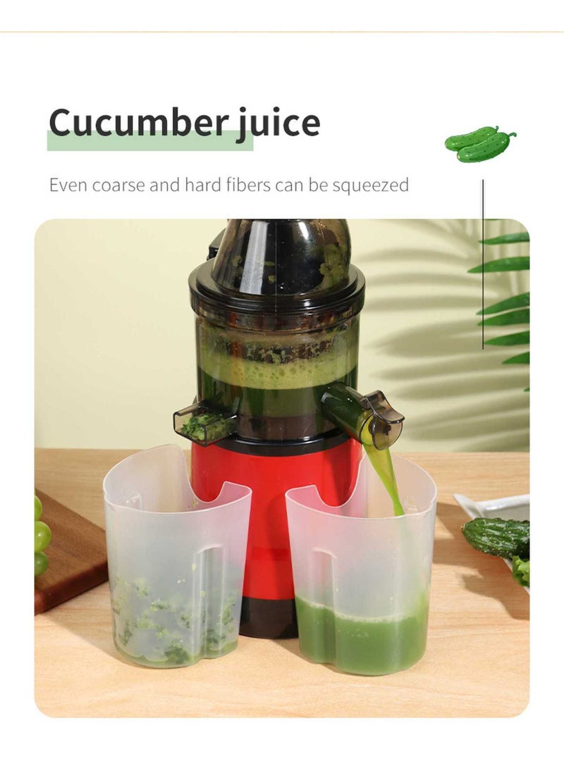 camel Silent-Slow Cold Press Juicer | Premium Slow Masticating, 3-Step Easy Clean | Perfect for Discerning & Picky Juice Lovers - Image 5