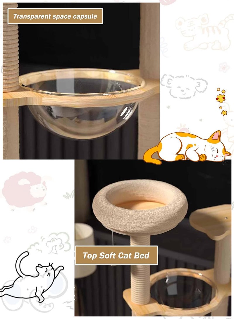 Cat Tree Tower With Climbing Frame With Transparent Capsule - Image 2