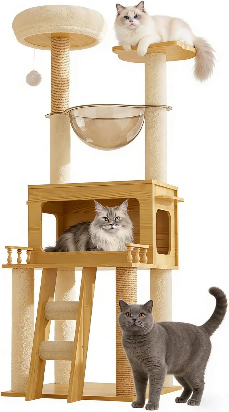 Cat Tree Tower With Climbing Frame With Transparent Capsule - Image 1