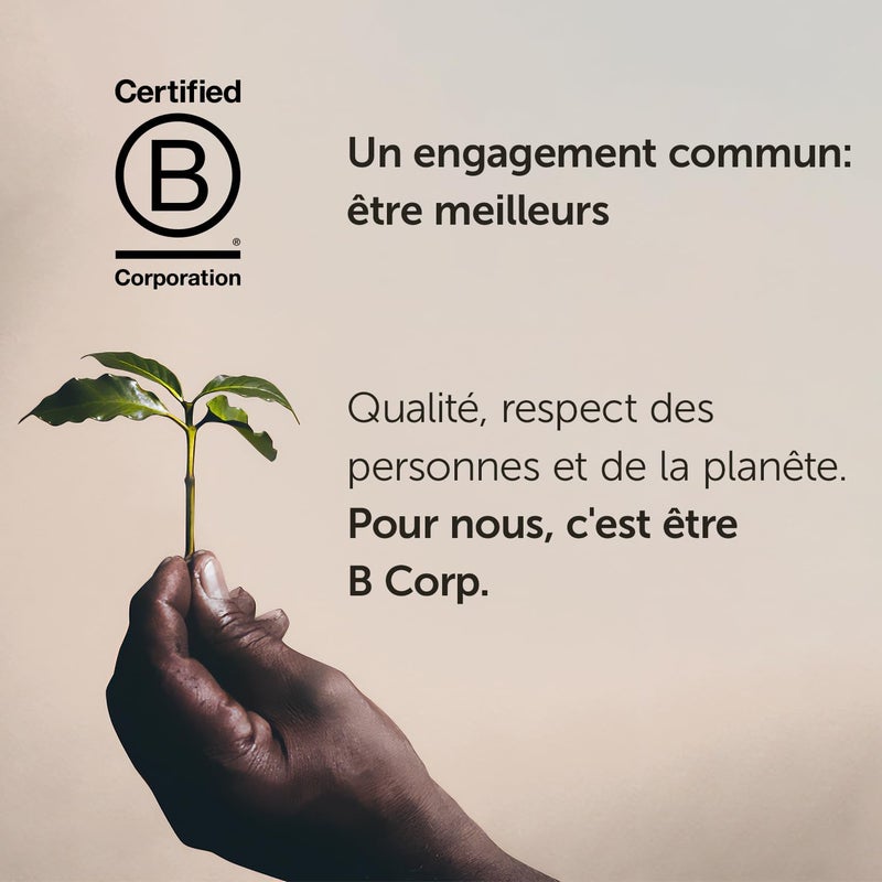 illy Classico Lungo Medium Roast Coffee Pods - Image 5