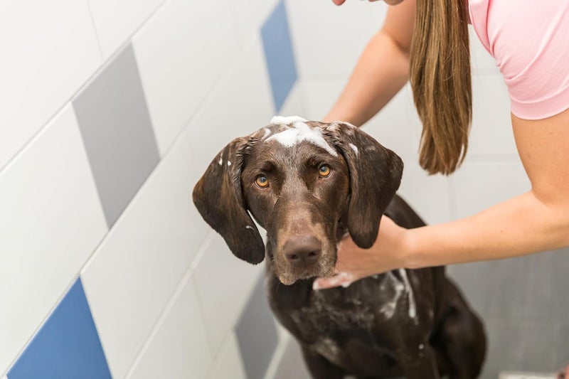 Trixie Puppy Shampoo 250ml - Image 2