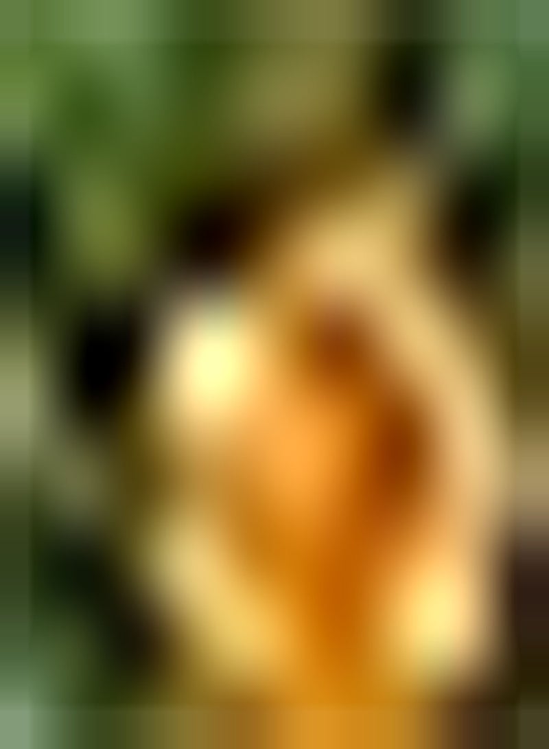 جي جوت 100 قطعة من بذور الآذريون ذات القيمة الزخرفية العالية تجلب أزهارًا عشبية معمرة فريدة من نوعها للمناظر الطبيعية الفنية إضافة رائعة للحديقة - Image 1